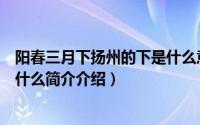 阳春三月下扬州的下是什么意思（阳春三月下扬州下一句是什么简介介绍）