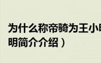 为什么称帝骑为王小明（帝骑为什么叫做王小明简介介绍）