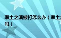 率土之滨被打怎么办（率土之滨被玩家打下来的土地有守军吗）