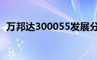 万邦达300055发展分析（万邦达300055）