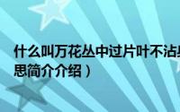 什么叫万花丛中过片叶不沾身（万花丛中过片叶不沾身的意思简介介绍）