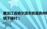 黑龙江省哈尔滨市宾县宾州镇（二龙山村 黑龙江省宾县宾州镇下辖村）