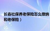 长春社保养老保险怎么缴纳（长春市的市民如何办理养社保和老保险）