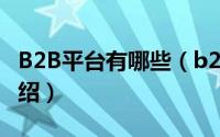 B2B平台有哪些（b2b网站平台有哪些简介介绍）