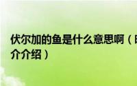 伏尔加的鱼是什么意思啊（暗算中伏尔加的鱼是什么意思简介介绍）