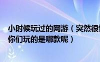 小时候玩过的网游（突然很怀念第一次玩网游的时光网友们你们玩的是哪款呢）