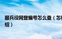 服兵役网登编号怎么查（怎样查询兵役登记网登编号简介介绍）