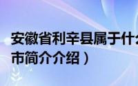 安徽省利辛县属于什么区（安微利辛县是什么市简介介绍）