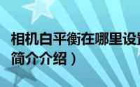 相机白平衡在哪里设置（相机如何设置白平衡简介介绍）