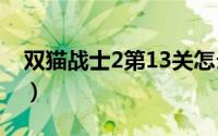 双猫战士2第13关怎么过（双猫战士2中文版）