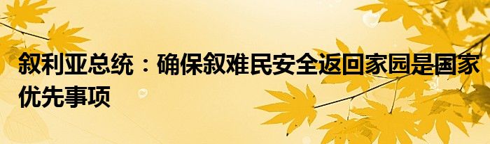 叙利亚总统：确保叙难民安全返回家园是国家优先事项