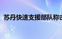 苏丹快速支援部队称击落一架埃及空军战机