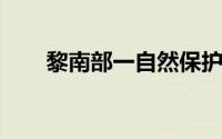 黎南部一自然保护区遭以军导弹袭击