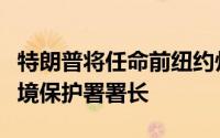 特朗普将任命前纽约州众议员泽尔丁为美国环境保护署署长