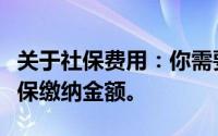 关于社保费用：你需要知道多少？全面解析社保缴纳金额。