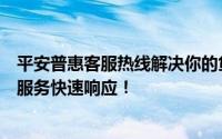 平安普惠客服热线解决你的贷款疑虑：全面解析流程，专业服务快速响应！