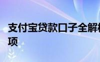 支付宝贷款口子全解析：申请、使用及注意事项