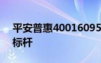 平安普惠4001609511：普惠金融服务的新标杆