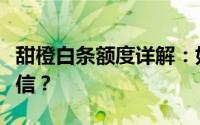 甜橙白条额度详解：如何获得高额度的白条授信？