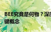 BEE究竟是何物？深度解析区块链问答中的关键概念