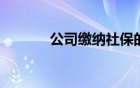 公司缴纳社保的计算方式详解