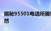 揭秘95501电话所属银行：识别号码，一目了然