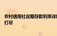 农村信用社定期存款利率详解：收益、期限与申请流程一网打尽