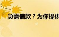 急需借款？为你提供一万贷款解决方案！