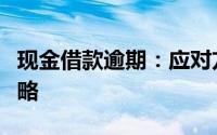 现金借款逾期：应对方法、风险警示及解决策略