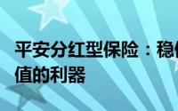 平安分红型保险：稳健投资之选，保障财富增值的利器