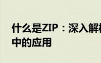 什么是ZIP：深入解析ZIP文件及其在区块链中的应用