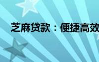 芝麻贷款：便捷高效的个人贷款解决方案