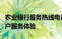 农业银行服务热线电话全解析：打造全天候客户服务体验