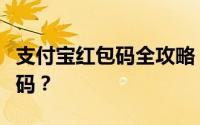 支付宝红包码全攻略：如何轻松找到你的红包码？