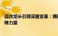 混改龙头引领深度变革：揭秘国有企业混合所有制改革的先锋力量