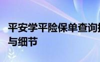 平安学平险保单查询指南：轻松掌握保单状态与细节