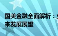 国美金融全面解析：业务范畴、服务体验及未来发展展望