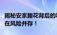 揭秘安家趣花背后的利率真相：投资收益与潜在风险并存！