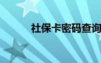 社保卡密码查询方法与步骤详解