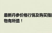 最新丹参价格行情及购买指南：了解丹参的真实价值，确保物有所值！