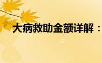 大病救助金额详解：你能得到多少救助？