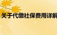 关于代缴社保费用详解：一个月需要多少钱？