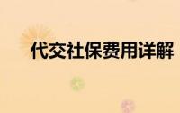 代交社保费用详解：究竟需要多少钱？