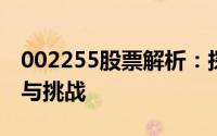 002255股票解析：探寻代码背后的投资机遇与挑战