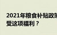 2021年粮食补贴政策详解：你是否有资格享受这项福利？