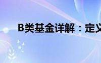 B类基金详解：定义、特点与投资策略