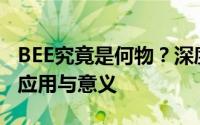 BEE究竟是何物？深度解析其在区块链领域的应用与意义