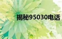 揭秘95030电话：它是何方神圣？