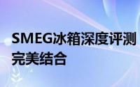 SMEG冰箱深度评测：性能、设计与实用性的完美结合